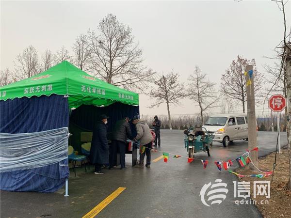 即墨区段泊岚镇：一顶顶帐篷搭建值守稳固“工事”