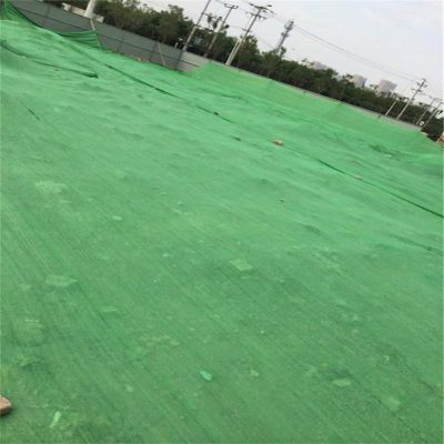 德州市全力打造春季扬尘防控网保障城市蓝天清新空气